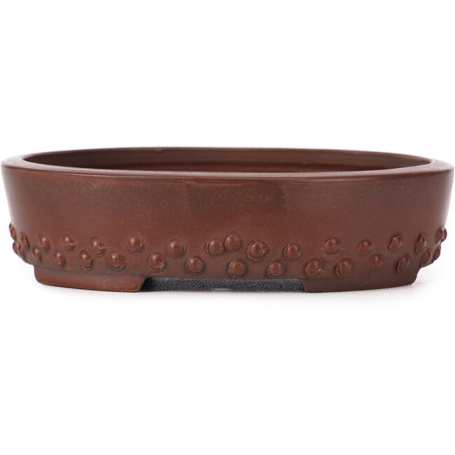 Vaso bonsai ovale non smaltato di Bigei - 125 x 95 x 30 mm