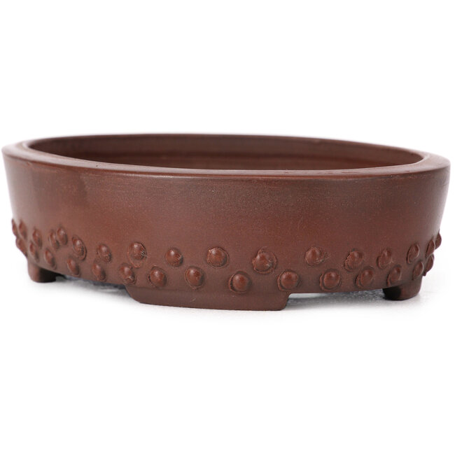 Maceta de bonsái ovalada sin esmaltar de Bigei - 125 x 95 x 30 mm