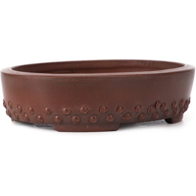 Pot à bonsaï ovale non émaillé par Bigei - 125 x 95 x 30 mm