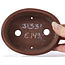 Pot à bonsaï ovale non émaillé par Bigei - 125 x 95 x 30 mm
