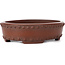 Oval unglazed bonsai pot by Bigei - 125 x 95 x 30 mm