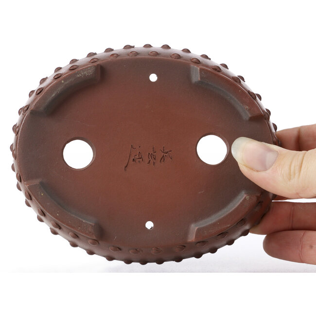 Vaso bonsai ovale non smaltato di Bigei - 125 x 95 x 30 mm