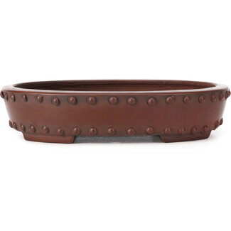 Bigei - Hirata Atsumi Maceta de bonsái ovalada sin esmaltar de 160 mm de Bigei, Tokoname, Japón