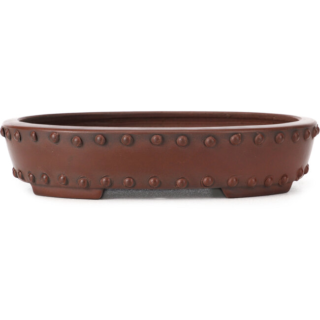 Pot à bonsaï ovale non émaillé par Bigei - 160 x 125 x 35 mm
