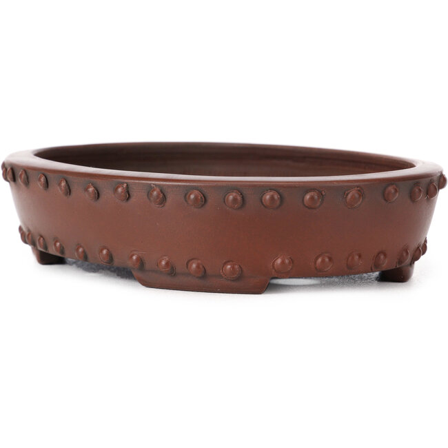 Vaso bonsai ovale non smaltato di Bigei - 160 x 125 x 35 mm