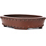 Pot à bonsaï ovale non émaillé par Bigei - 160 x 125 x 35 mm