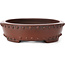 Pot à bonsaï ovale non émaillé par Bigei - 160 x 125 x 35 mm