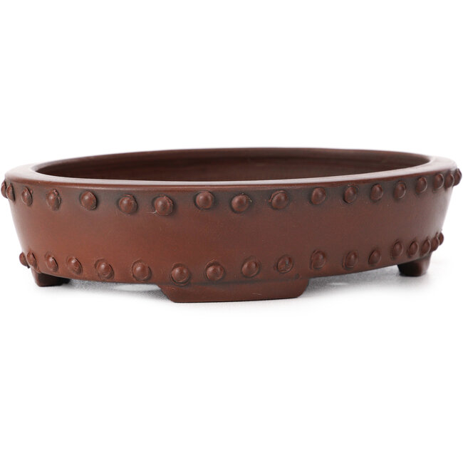 Pot à bonsaï ovale non émaillé par Bigei - 160 x 125 x 35 mm