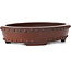 Pot à bonsaï ovale non émaillé par Bigei - 160 x 125 x 35 mm