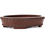 Pot à bonsaï ovale non émaillé par Bigei - 160 x 125 x 35 mm