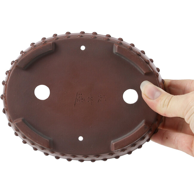 Oval unglazed bonsai pot by Bigei - 160 x 125 x 35 mm