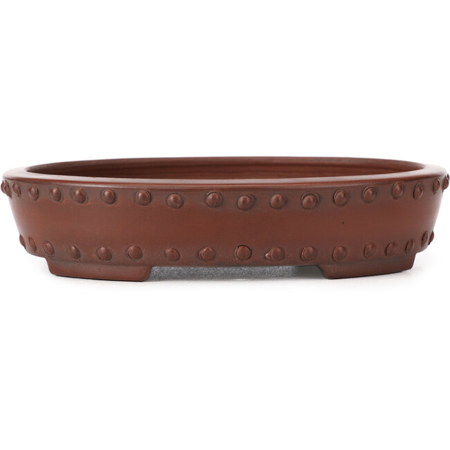 Maceta de bonsái ovalada sin esmaltar de Bigei - 160 x 125 x 35 mm