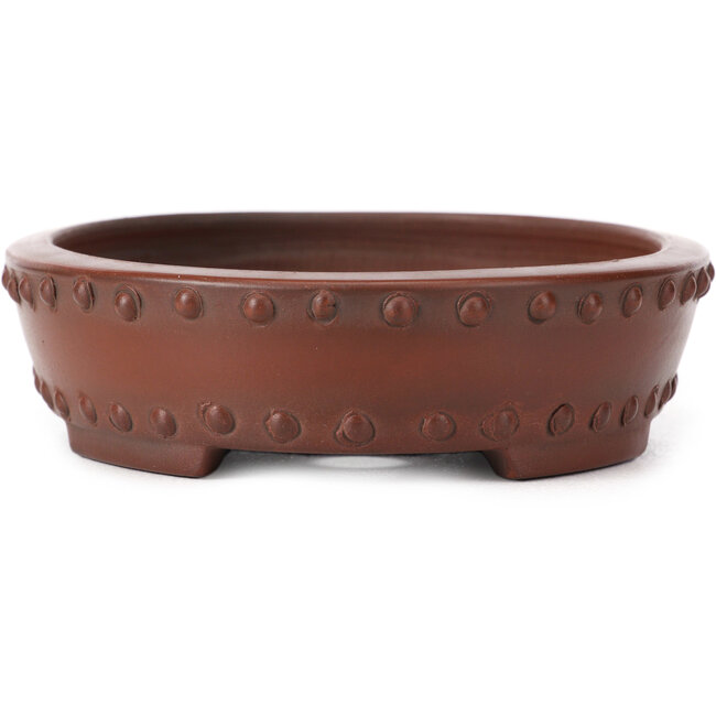 Vaso bonsai ovale non smaltato di Bigei - 160 x 125 x 35 mm