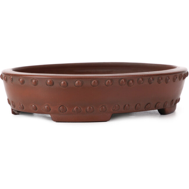 Vaso bonsai ovale non smaltato di Bigei - 160 x 125 x 35 mm