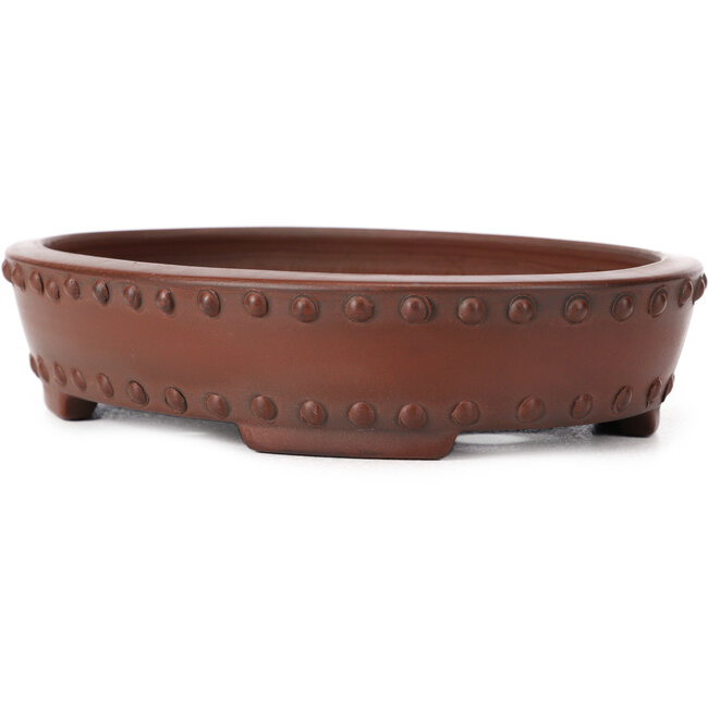 Pot à bonsaï ovale non émaillé par Bigei - 160 x 125 x 35 mm