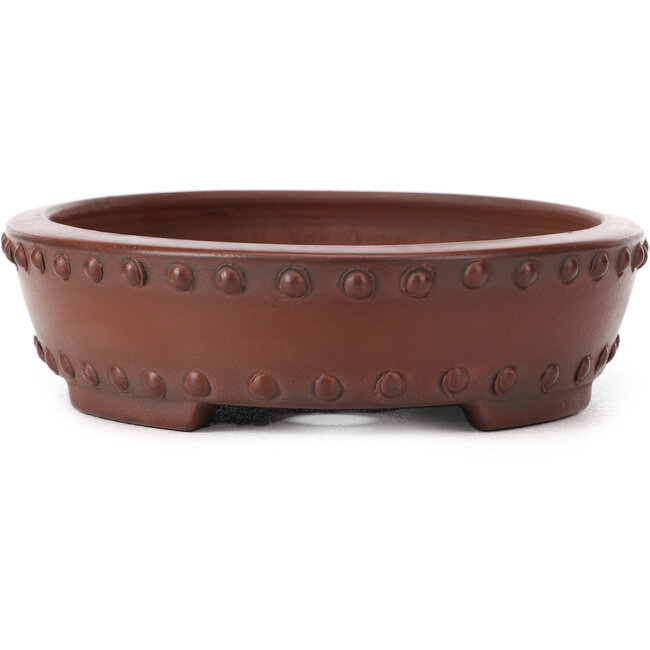 Maceta de bonsái ovalada sin esmaltar de Bigei - 160 x 125 x 35 mm