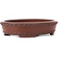 Pot à bonsaï ovale non émaillé par Bigei - 160 x 125 x 35 mm