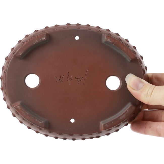 Ovale ongeglazuurde bonsaipot van Bigei - 160 x 125 x 35 mm