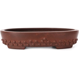 Bigei - Hirata Atsumi 160 mm oval unglazed bonsai pot by Bigei, Tokoname, Japan