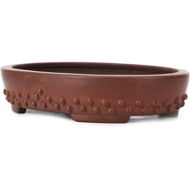 Maceta de bonsái ovalada sin esmaltar de Bigei - 160 x 125 x 35 mm