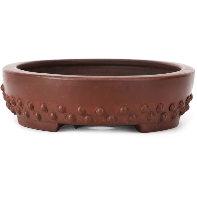 Maceta de bonsái ovalada sin esmaltar de Bigei - 160 x 125 x 35 mm