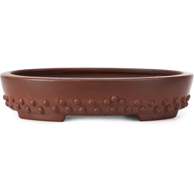 Maceta de bonsái ovalada sin esmaltar de Bigei - 160 x 125 x 35 mm