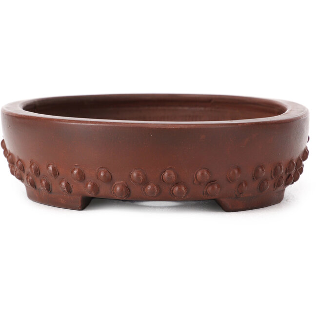 Pot à bonsaï ovale non émaillé par Bigei - 160 x 125 x 35 mm