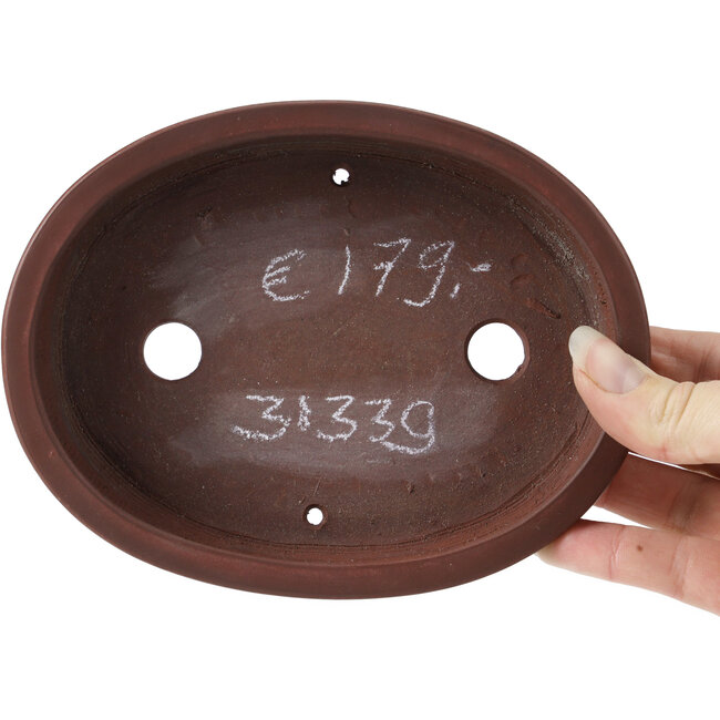 Maceta de bonsái ovalada sin esmaltar de Bigei - 160 x 125 x 35 mm
