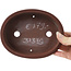 Pot à bonsaï ovale non émaillé par Bigei - 160 x 125 x 35 mm