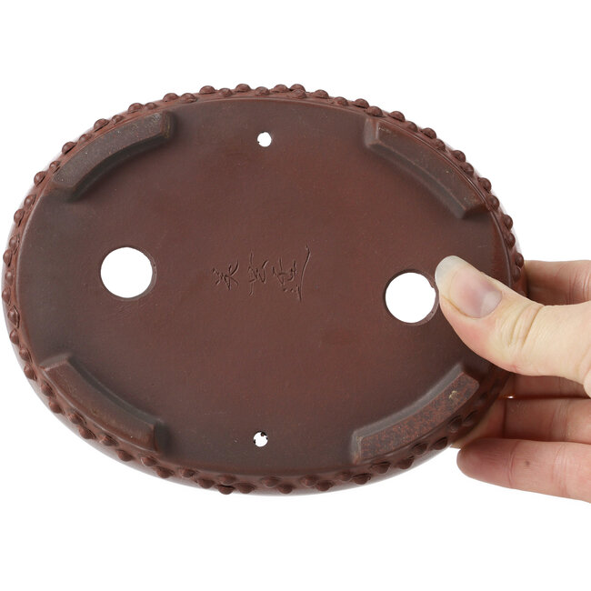 Pot à bonsaï ovale non émaillé par Bigei - 160 x 125 x 35 mm