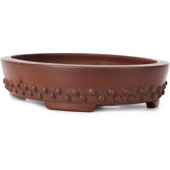 Oval unglazed bonsai pot by Bigei - 160 x 125 x 35 mm