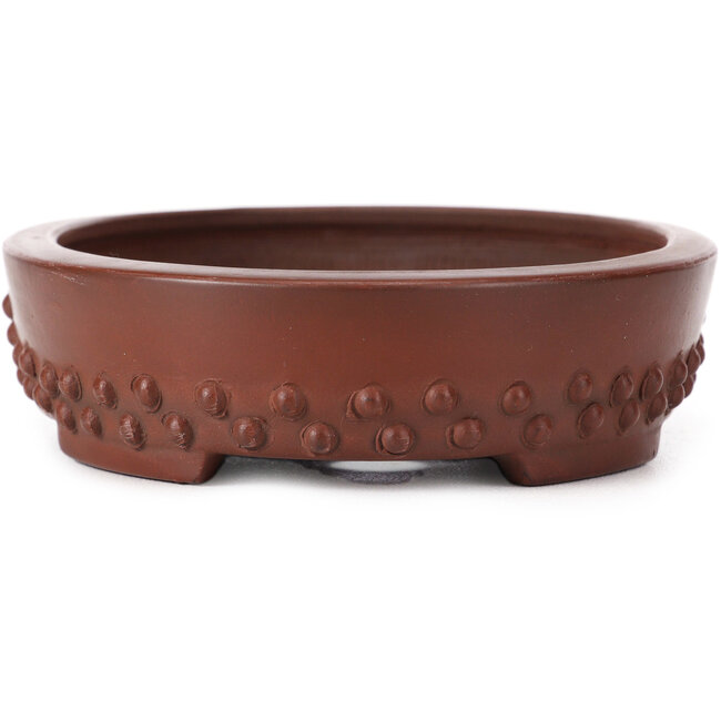 Maceta de bonsái ovalada sin esmaltar de Bigei - 160 x 125 x 35 mm