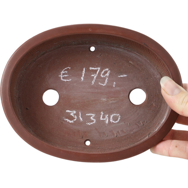 Maceta de bonsái ovalada sin esmaltar de Bigei - 160 x 125 x 35 mm