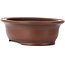 Pot à bonsaï ovale non émaillé par Bigei - 155 x 125 x 50 mm