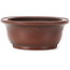 Pot à bonsaï ovale non émaillé par Bigei - 155 x 125 x 50 mm