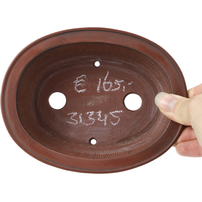 Maceta de bonsái ovalada sin esmaltar de Bigei - 155 x 125 x 50 mm
