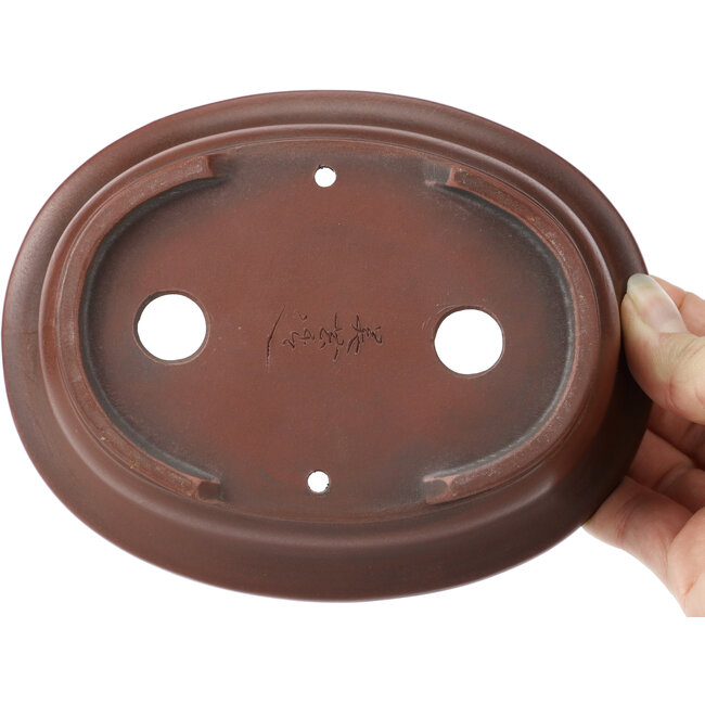 Vaso bonsai ovale non smaltato di Bigei - 155 x 125 x 50 mm