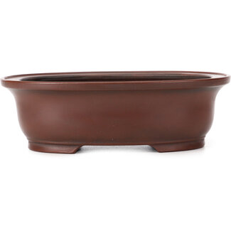 Bigei - Hirata Atsumi 155 mm oval unglazed bonsai pot by Bigei, Tokoname, Japan