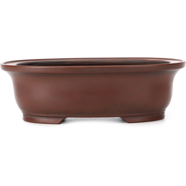 Pot à bonsaï ovale non émaillé par Bigei - 155 x 125 x 50 mm