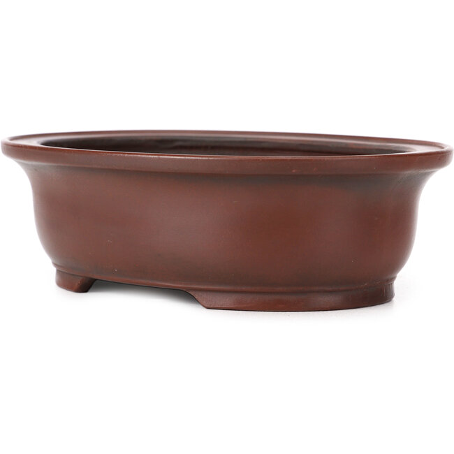 Maceta de bonsái ovalada sin esmaltar de Bigei - 155 x 125 x 50 mm