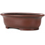 Pot à bonsaï ovale non émaillé par Bigei - 155 x 125 x 50 mm