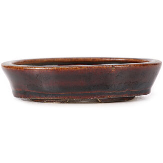 Seto 110 mm ovale braune Bonsaischale von Seto, Japan