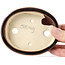 Ovale bruine bonsaipot van Seto - 110 x 85 x 25 mm
