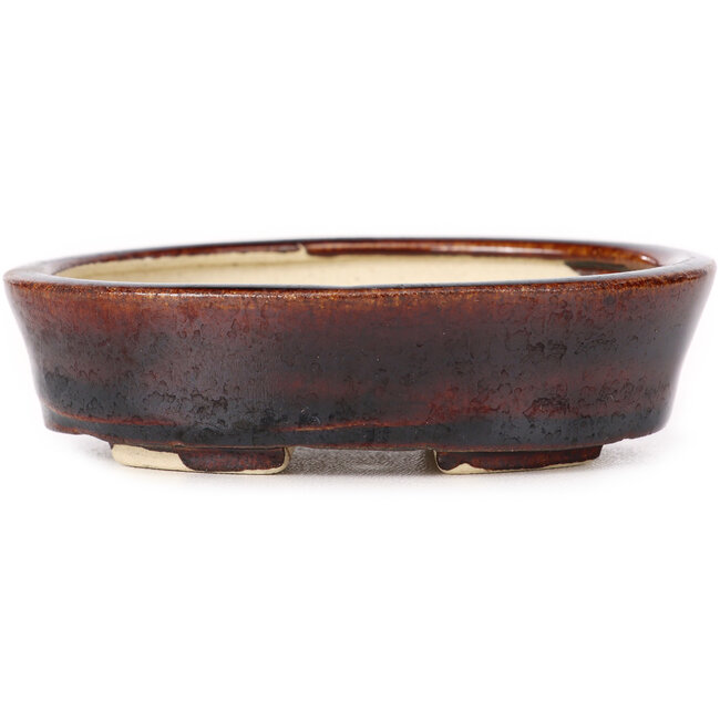 Vaso bonsai ovale marrone di Seto - 105 x 85 x 30 mm