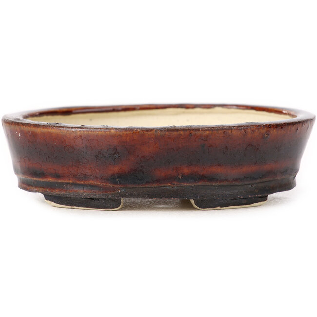 Pot à bonsaï ovale marron par Seto - 105 x 85 x 30 mm