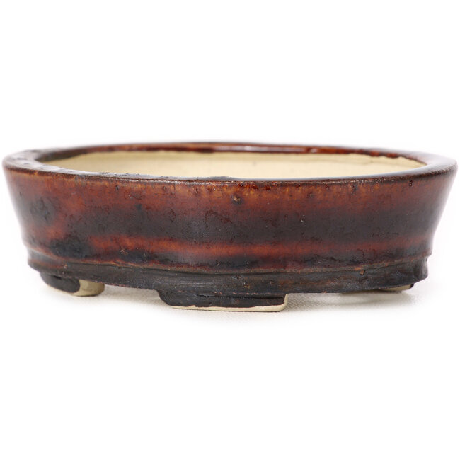 Vaso bonsai ovale marrone di Seto - 105 x 85 x 30 mm