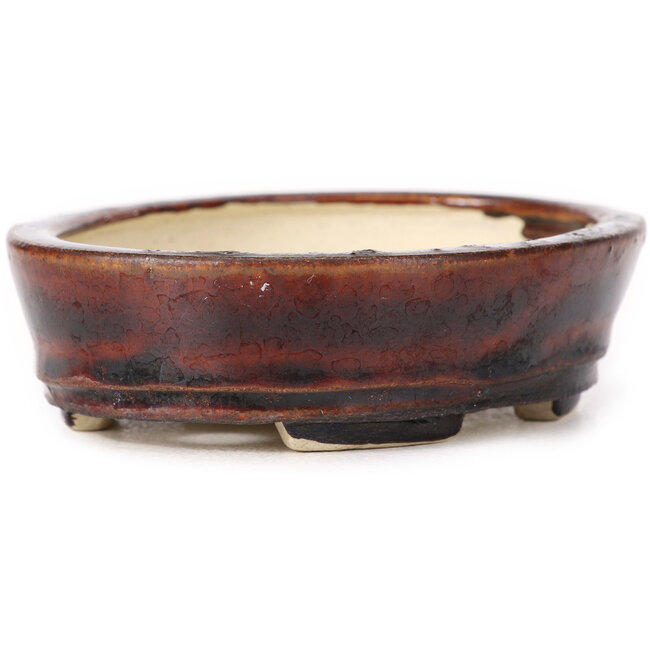 Vaso bonsai ovale marrone di Seto - 105 x 85 x 30 mm