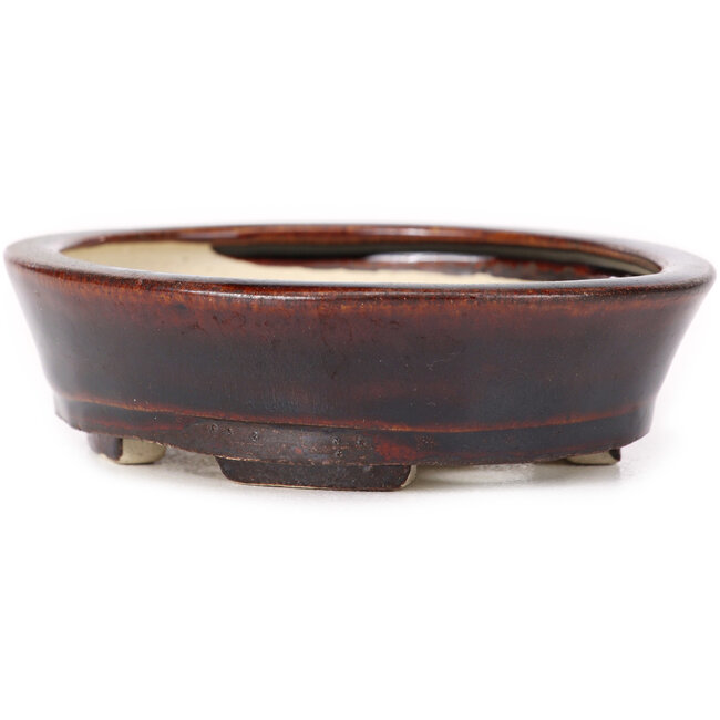 Pot à bonsaï ovale marron par Seto - 105 x 90 x 30 mm