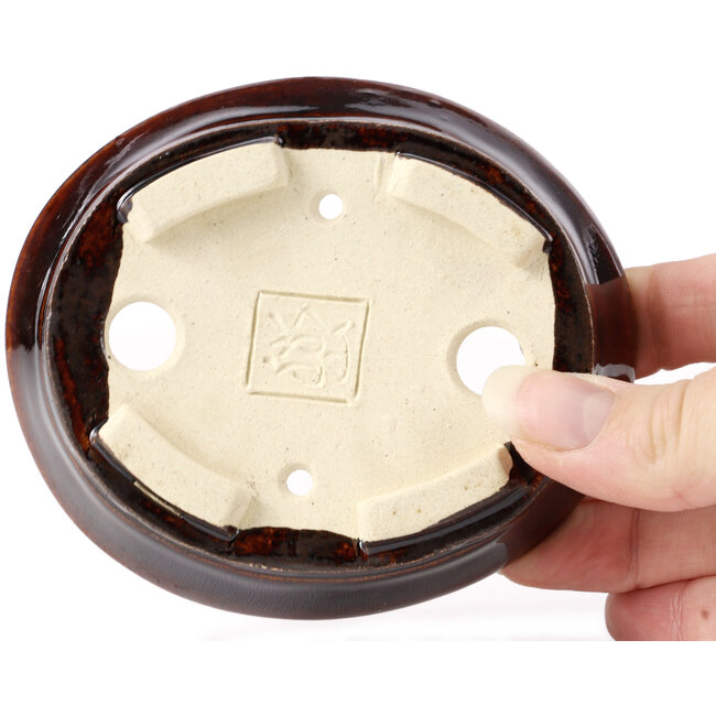Pot à bonsaï ovale marron par Seto - 105 x 90 x 30 mm