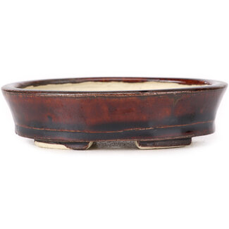 Seto 105 mm oval brown bonsai pot by Seto, Japan